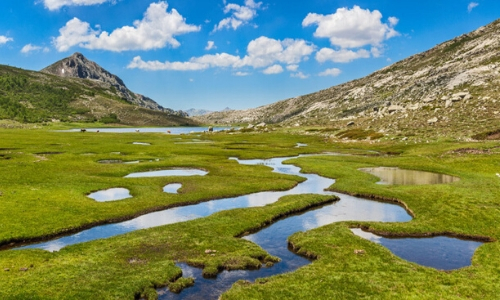 Le Parc Régional de la Corse avec verdure, montagnes, plaine