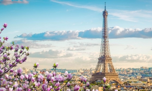 Vue aérienne sur Paris avec fleurs, habitations, Tour Eiffel