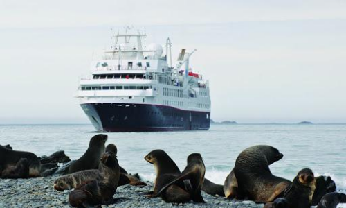 Un bateau de la flotte Silver Sea Cruises vu par un phoque