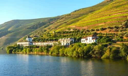 quinta sur le bord du fleuve Douro au Portugal, aux pieds de paysages vallonés