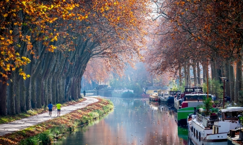 Photo du Canal du Midi avec arbres et feuilles ambiance automne, avec bateaux fluviaux