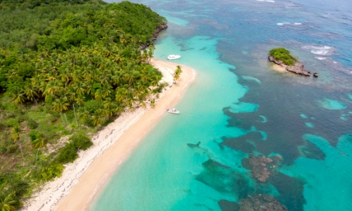 Vue aérienne sur une plage des Caraïbes avec sable blanc, eau turquoise et végétation 