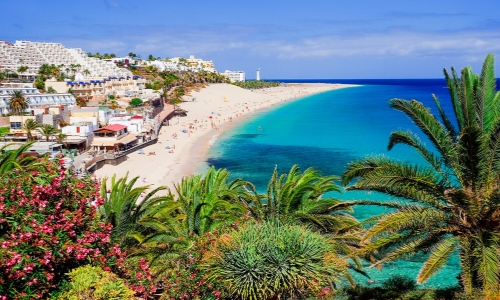 Vue sur les plages de l'île de Fuerteventura aux Canaries avec végétation, eau turquoise, sable blanc et habitations