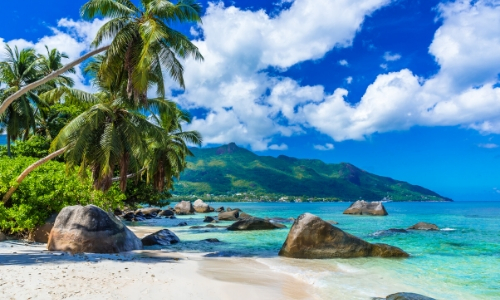 Photo d'une plage avec palmier, sable blanc et eau turquoise aux Seychelles