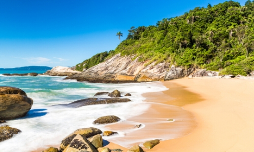 Vue sur la plage Santa Catarina au Brésil avec rochers, sable, nature, arbres