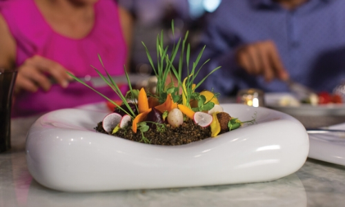 Plat composé de crudités 