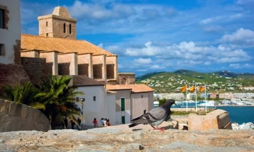 cathedrale-ibiza