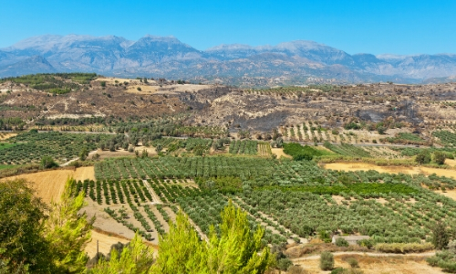 La plaine de la Messara en Crète avec végétation verdoyante sur fond de montagnes