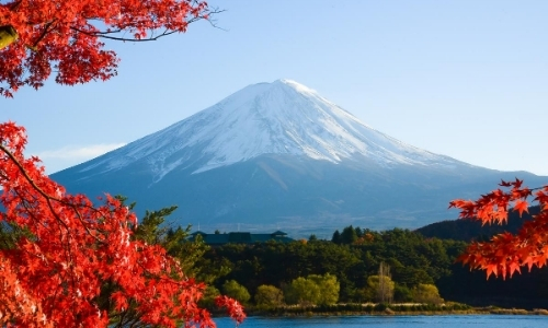 Mont Fuji au loin, enneigé, avec fleurs rouges en premier plan