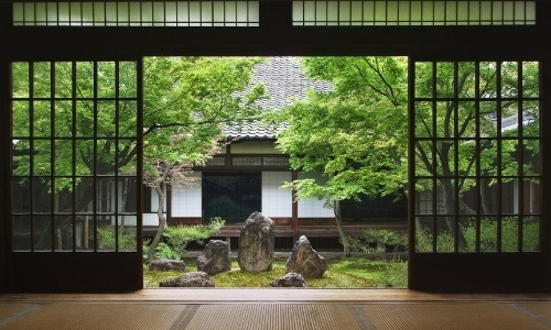 Chambre vue sur la nature, verdure