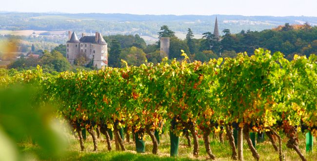 Vignoble de Buzet