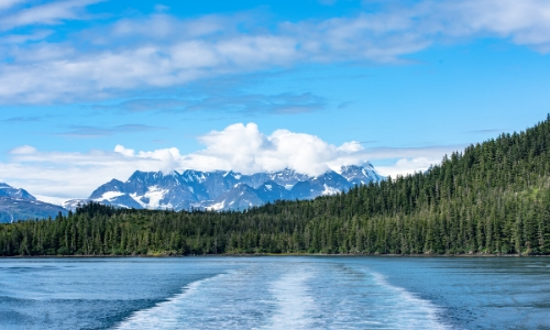 Vue sur un lac, avec arbres et montagnes enneigées an arrière-plan