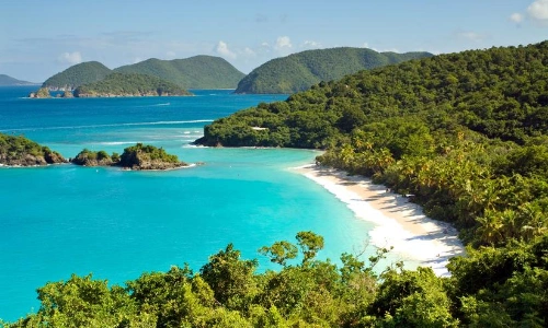 Vue sur la mer des Caraïbes avec végétation luxuriante, eaux limpides