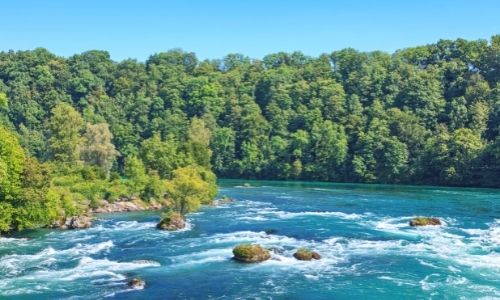 Fleuve du Rhin en plein milieu de la nature