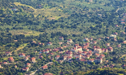 Les collines de Corfou plantées de chênes et d'oliviers