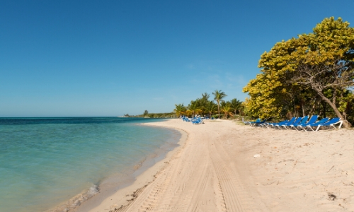 L'île privée CocoCay avec sable blanc, mer, chaises bleues et arbres, ciel bleu