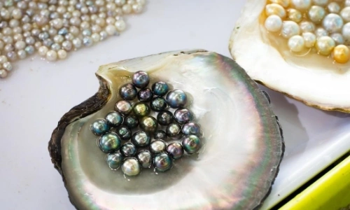 Coquillage avec perles à l'intérieur