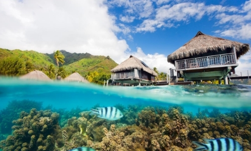 Vue depuis la mer avec poissons, et aperçu sur 2 maisons pieds dans l'eau