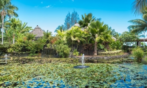 Jardin avec nénuphars, diversité de plantes et arbres, verdure