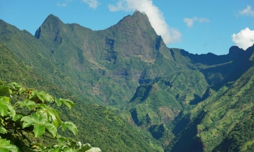 Vue sur le mont Orohena à Thahiti, avec verdure