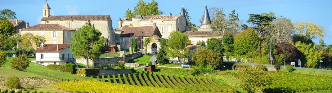 Les vignobles de saint-emilion à Bordeaux 