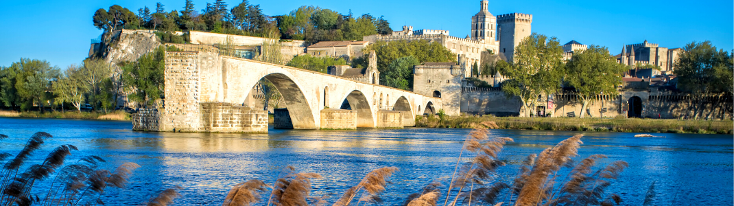 Le pont d'Avignon au soleil