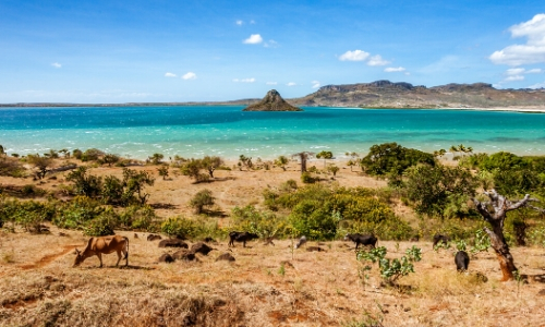 Paysage de Madagascar, eau turquoise, végétation, terre