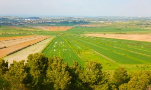 champs qui convergent vers le centre, comme des rayons de soleil