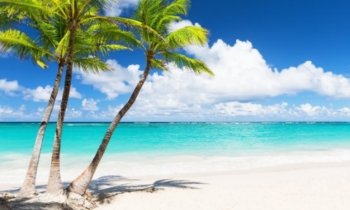 Une plage de sable blanc, avec palmiers, eau turquoise