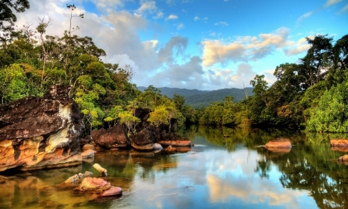 Vue sur une rivière tropicale à Madagascar avec verdure qui l'entoure