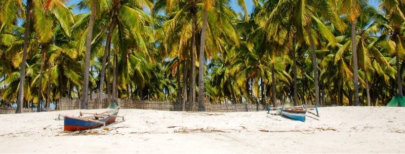 Croisière Mozambique