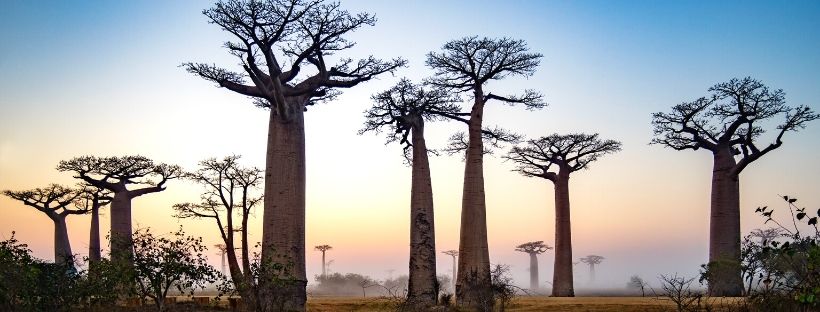 Croisière Madagascar