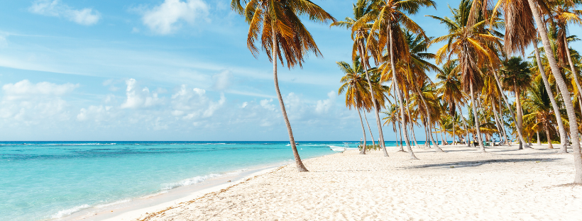 Une plage des Caraibes 