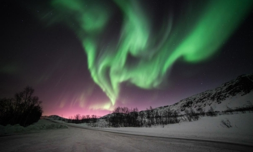 Vue sur les aurores boréales, nuances de vert dans le ciel