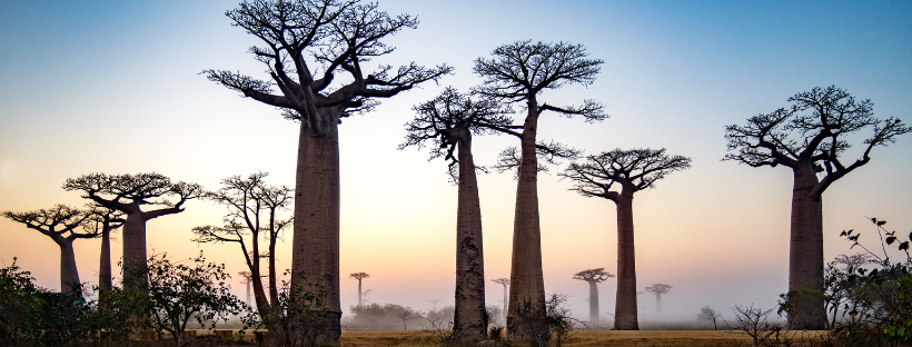 croisière Madagascar