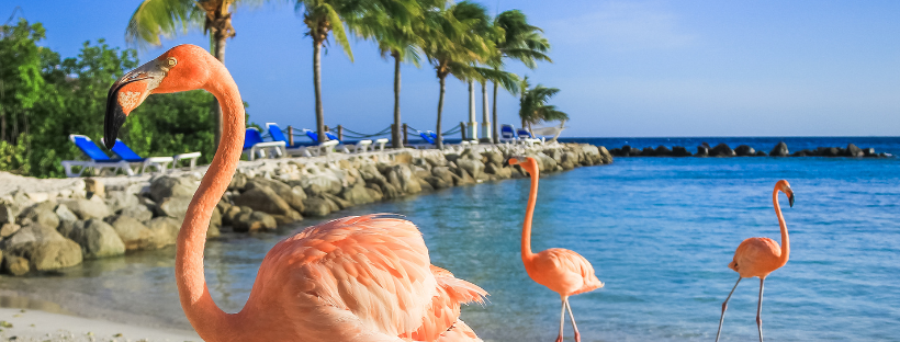 Croisière Caraïbes à Curuçao