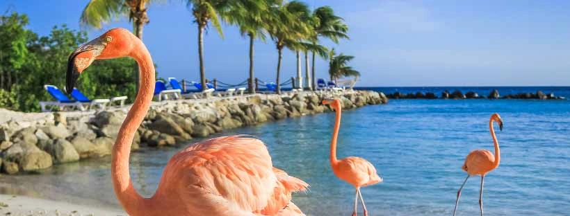 Croisi&egrave;re Cara&iuml;bes &agrave; Curu&ccedil;ao