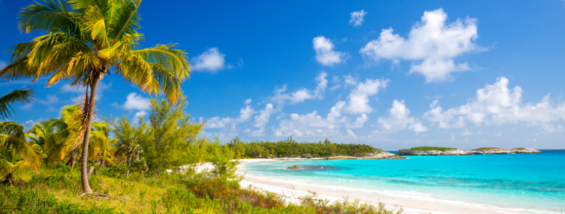 La plage sauvage avec l'eau de la mer turquoise aux Bahamas dans les Caraïbes 