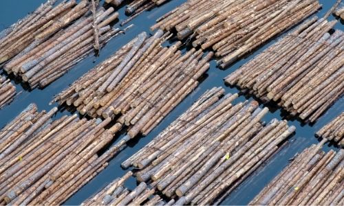 Ballots de bois flottants sur la surface du canal du Nivernais