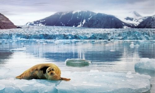 Le glacier de Lilliehook au Spitzberg dans au Svalbard