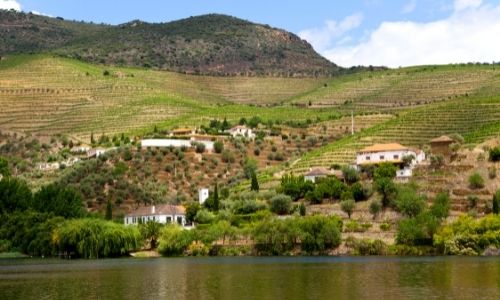 Les berges du Douro et ses vignobles à flanc de montagne