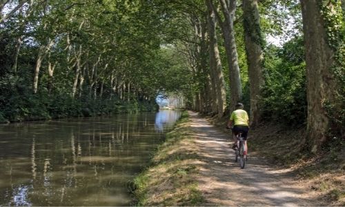 Un cycliste, seul, roule sur les chemins de halage du canal du Midi