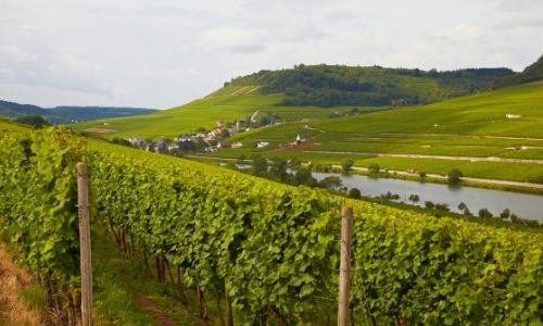 Les vignobles et la campagne d'Alsace